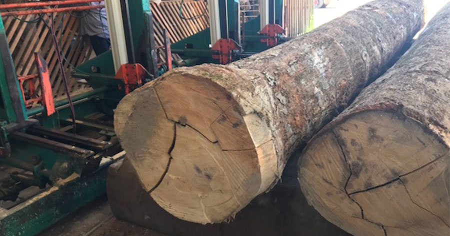 Madeireira é pega no flagra com 'gato' de energia durante fiscalização