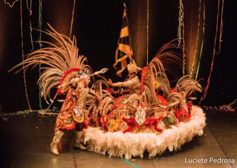  Centro Cultural Palácio Rio Negro recebe exposição fotográfica sobre o Carnaval