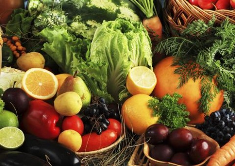  Prefeito de Coari investe cerca de R$ 900 mil na agricultura familiar