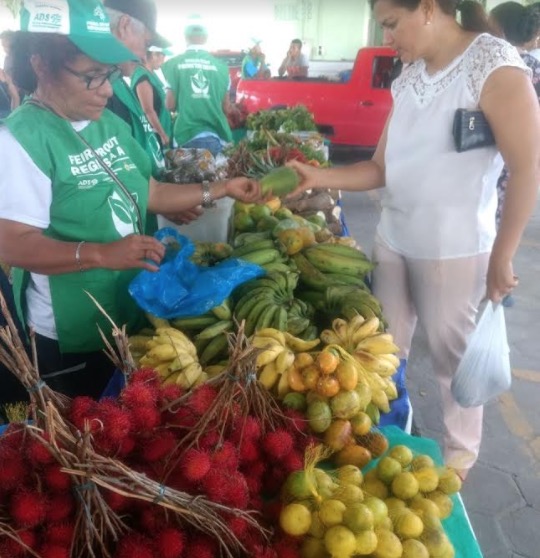 ADS inaugura Feira de Orgânicos na zona centro-sul