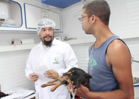 Serviços de castração e microchipagem no CCZ são temporariamente suspensos