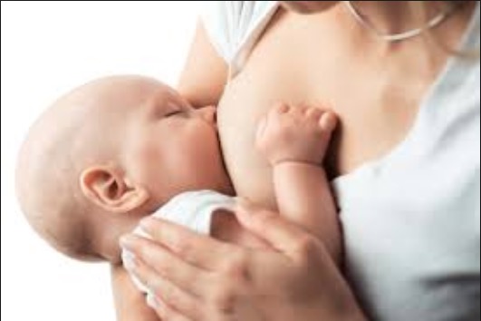 Maternidade Moura Tapajóz oferece serviço de coleta de leite materno em domicílio