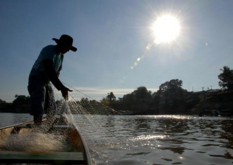 Seguro defeso vai injetar mais de R$ 200 milhões na economia do Amazonas em 2018