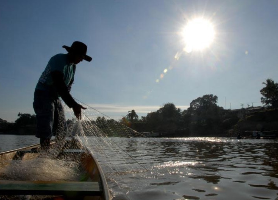 Seguro defeso vai injetar mais de R$ 200 milhões na economia do Amazonas em 2018