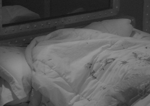 BBB18: Patrícia e Kaysar movimentam edredom e ficam ofegantes na frente de Ana Clara