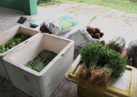 Cadastramento gratuito no Mesa Brasil Sesc termina nesta quinta-feira