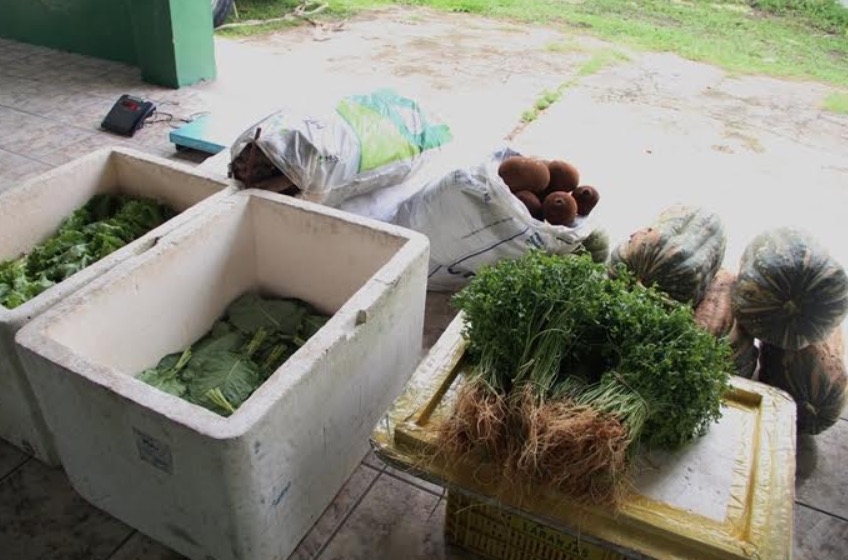 Cadastramento gratuito no Mesa Brasil Sesc termina nesta quinta-feira