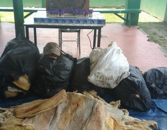 Embarcação é flagrada com 400kg de pirarucu ilegal e 2 mil munições escondidas