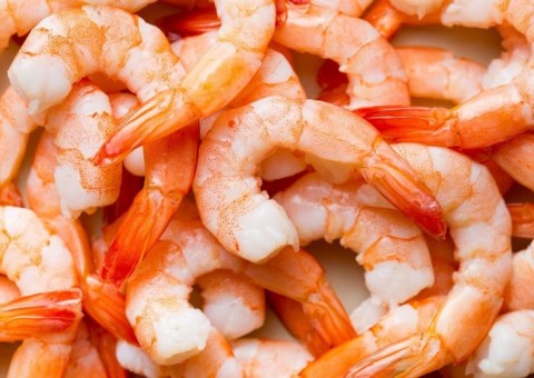 10 motivos para comer mais camarão
