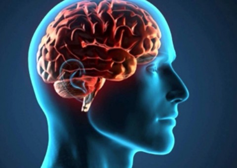 Isso é o que acontece com o cérebro humano logo após a morte