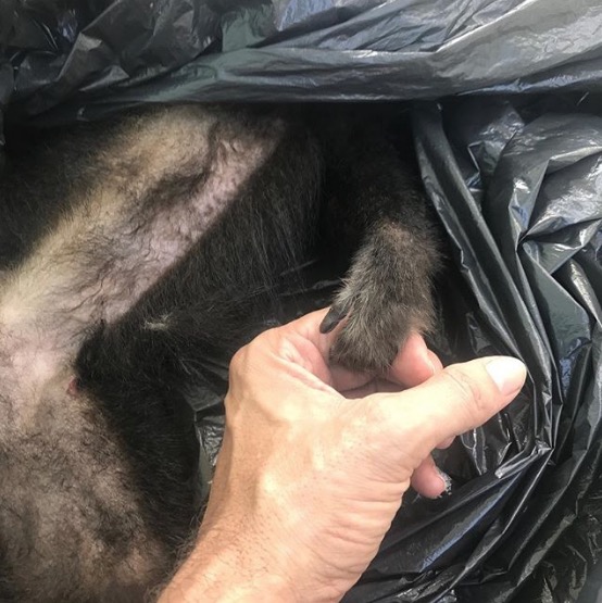 Latino mostra foto de Twelves morto e lamenta perda 