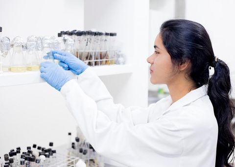 Fapeam lança editais de R$ 5,7 milhões para incentivo a pesquisas