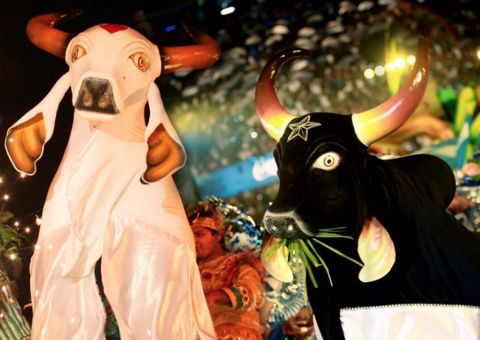 Ensaio dos Bumbás inicia neste sábado em Manaus