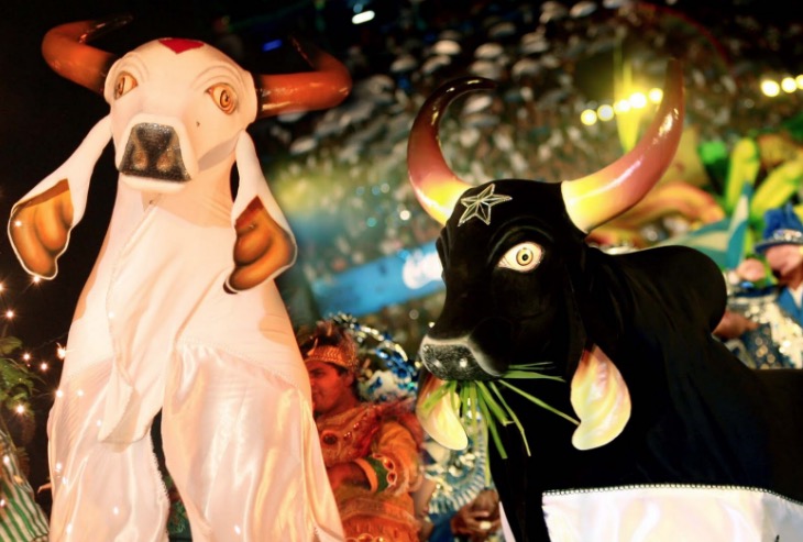 Ensaio dos Bumbás inicia neste sábado em Manaus