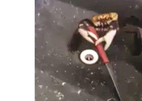 Caranguejo luta pela própria vida após ameaça de ir para panela