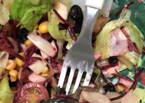 Professora fica indignada ao encontrar perereca dentro de salada de pote 