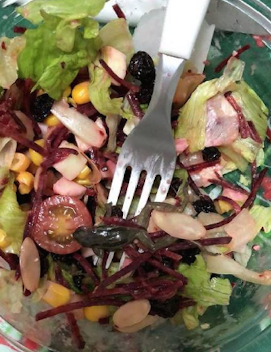 Professora fica indignada ao encontrar perereca dentro de salada de pote 