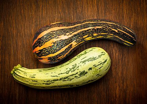 Conheça os benefícios da abobrinha