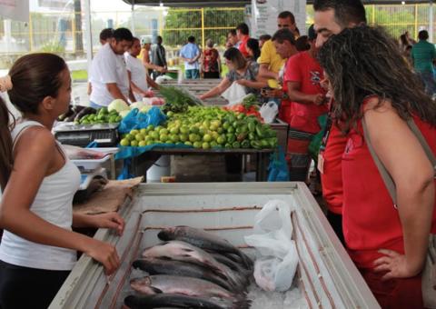  Feirão do Pescado ganha novo ponto e vende peixes a preço acessível em Manaus