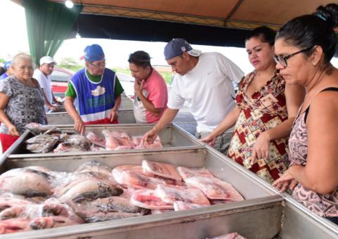 Feirão do Pescado Semana Santa vende peixes a partir de R$ 5 em Manaus