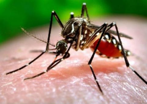  FMT seleciona pacientes para estudo sobre a persistência do vírus Zika nos fluídos corporais