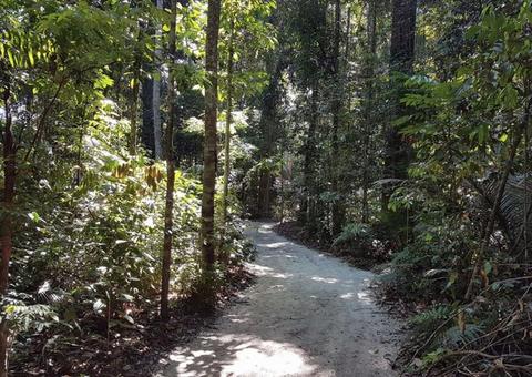 Páscoa será de pôr do sol na torre de observação do Museu da Amazônia