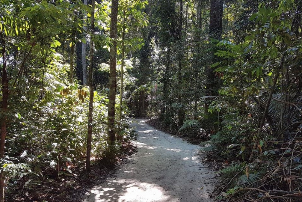 Páscoa será de pôr do sol na torre de observação do Museu da Amazônia