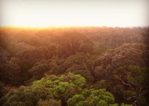  Páscoa pode ser celebrada com pôr do sol na torre de observação do Museu da Amazônia