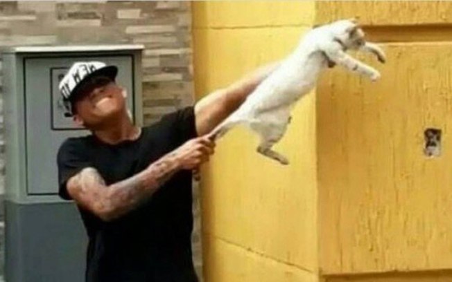 Jogadores são expulsos de time após maltratarem gato e imagens vazarem na web