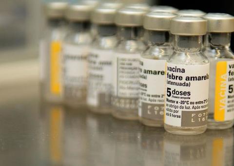  Ministério da Saúde registra 328 mortes por febre amarela no Brasil