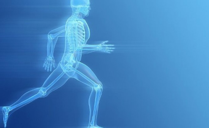 Como inibir o avanço da osteoporose: caminhada ou exercício resistido?