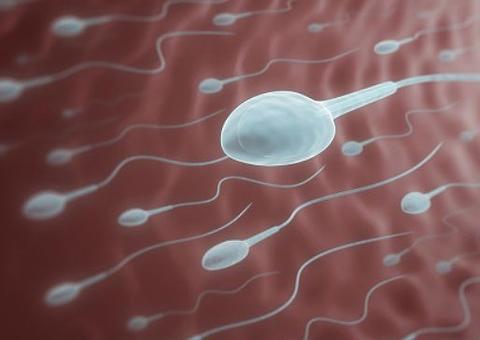  Importação de sêmen dos EUA para o Brasil causa polêmica