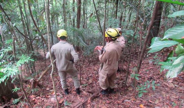Bombeiros procuram por homem e adolescente desaparecidos há dois dias em mata no Amazonas