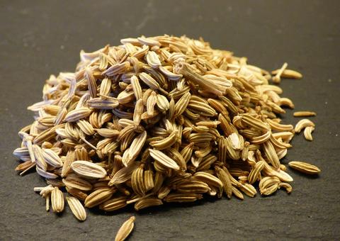 Erva-doce é potente para desinchar e diminuir gases da barriga