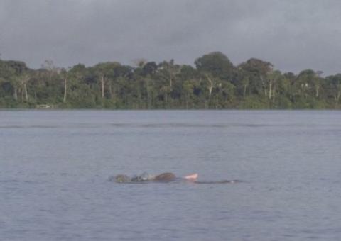 Irmão são resgatados após ficar a deriva no rio Amazonas 