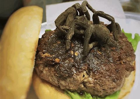 Restaurante dos EUA oferece sanduíche com tarântula de recheio