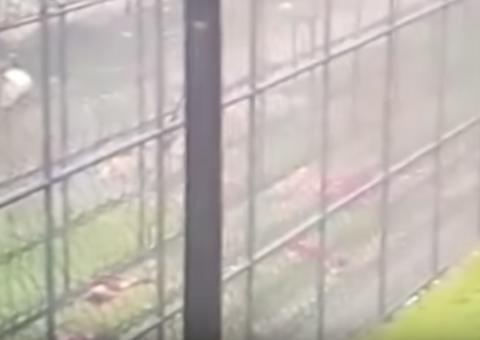 Governo confirma 22 mortes durante tentativa de fuga em presídio no Pará