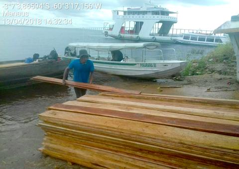 Ipaam apreende madeira retirada ilegalmente de reserva sustentável no rio Negro