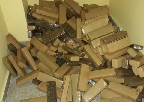 Polícia apreende mais de uma tonelada de maconha e prende cinco suspeitos