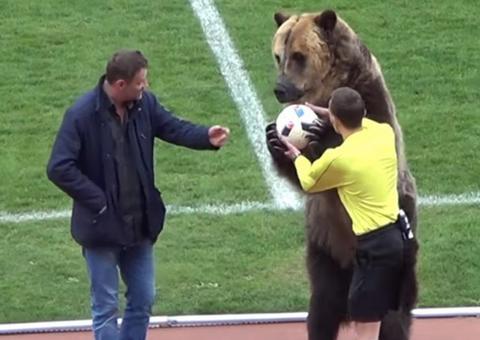 Urso aparece em jogo na Rússia e será atração na Copa
