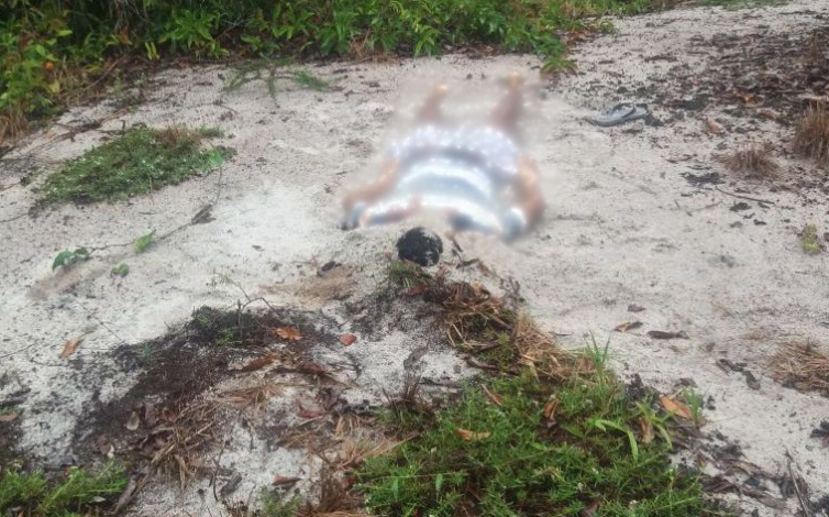 Degolado, corpo de homem é encontrado em ramal da BR-174