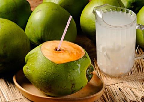 17 benefícios do coco verde para a saúde