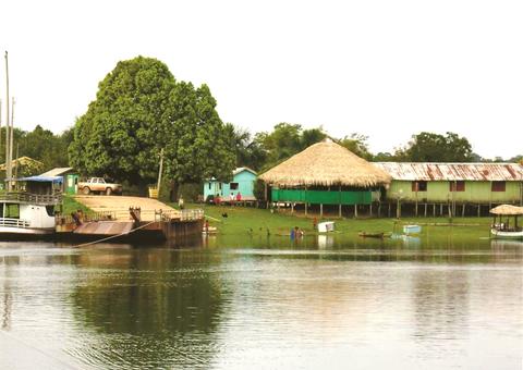 Sema realiza soltura de 5 mil quelônios em reserva sustentável no Amazonas 