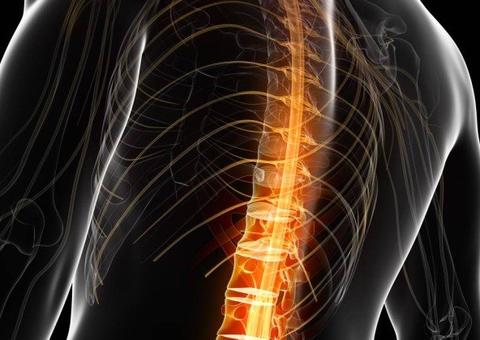 Cientistas brasileiros começam a testar em humanos droga que podem recuperar paralisias