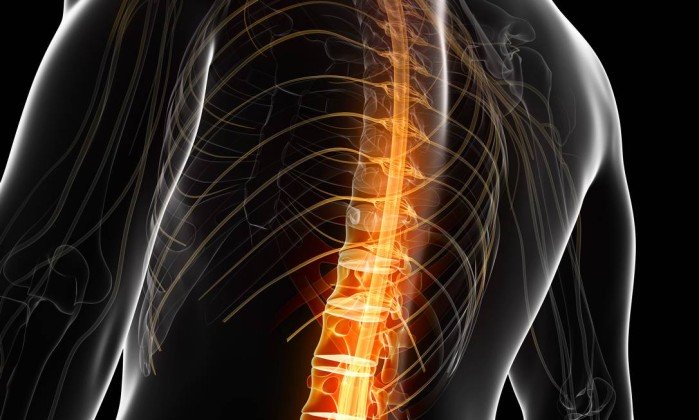 Cientistas brasileiros começam a testar em humanos droga que podem recuperar paralisias