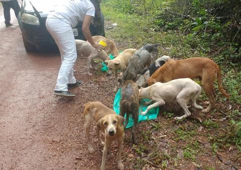  ONG pede ajuda após encontrar mais de 25 cães abandonados na AM 070