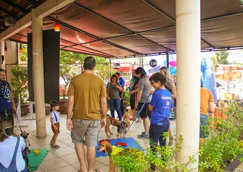 ONG Pata promove 'pet friendly' com desfile e adoção de cachorros em Manaus
