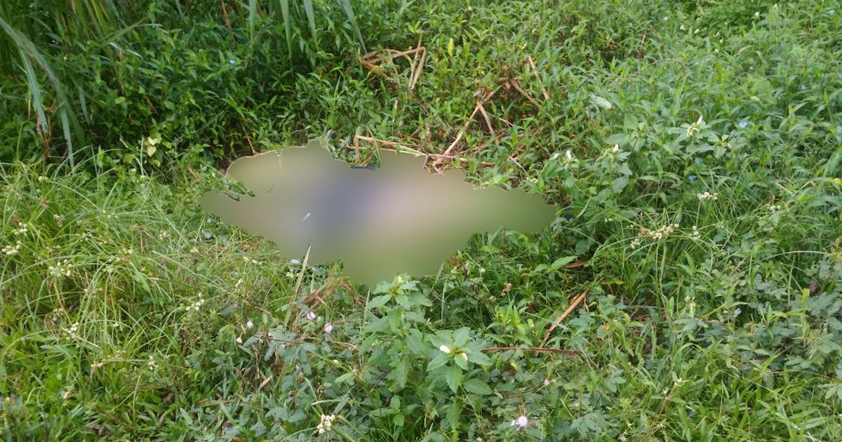 Com mãos amarradas, corpo de homem é encontrado em ramal no Amazonas