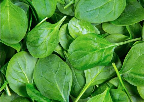 4 super benefícios do espinafre