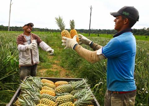 Produtores passam a vender seus produtos em polpa no Amazonas   